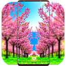 Sakura Wallpaper HD APK