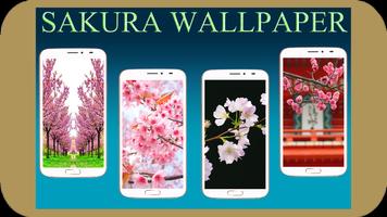 Sakura Wallpaper Affiche