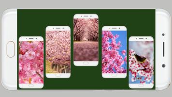 Sakura Wallpaper capture d'écran 1
