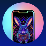 EDGE Lighting Border Light