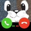 Tom & Jerry Mouse Fake call. icon