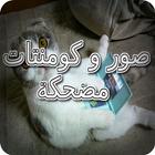 صور و كومنتات مضحكة-icoon