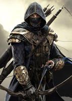 Samurai Warrior Wallpapers Cartaz
