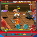 knights valour sangoku APK
