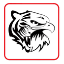 Toss APK