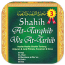 Shahih At-Targhib Wat-Tarhib 3 APK