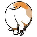Корги APK
