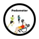 Pedometer SB Step Count And Mediation