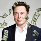 Spend Elon Musk's Money icon
