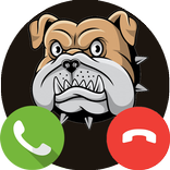 TDTC  Fake Call Scary Dog Game