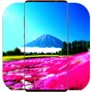 Scenery Wallpaper HD APK
