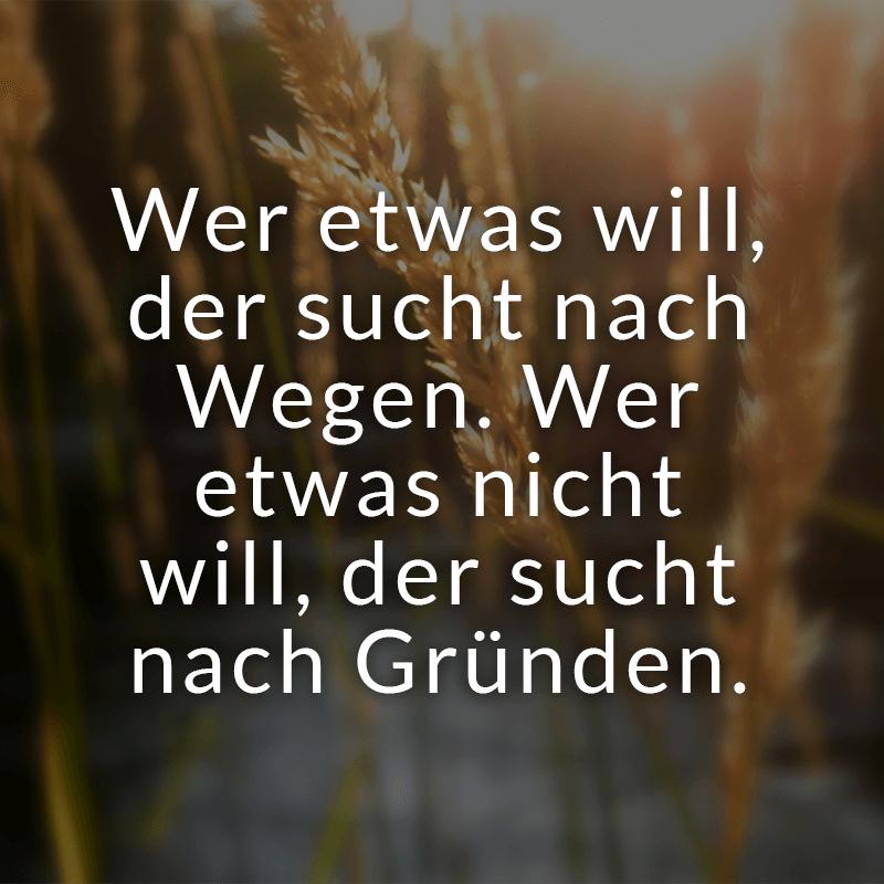 Text für mann sucht frau