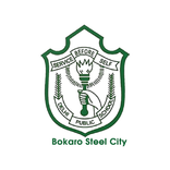 Delhi Public School B.S.City