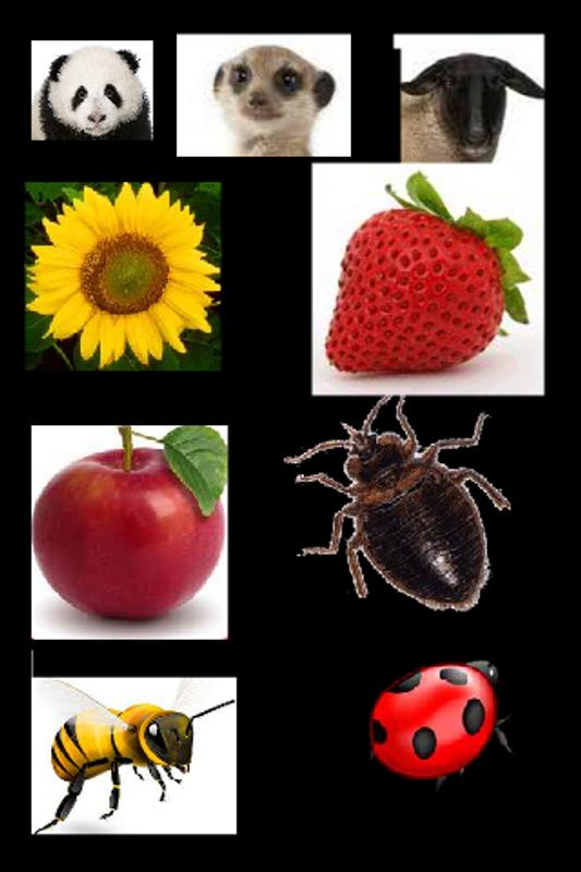 Scientific Names For Android APK Download scientific-names-for-android-apk-download