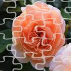 Rose Puzzle Game آئیکن
