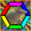 Armadillo иконка