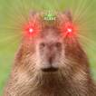 Capybara Sounds biểu tượng