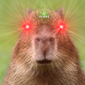 Capybara Sounds