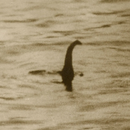 Loch Ness Monster Recordings APK