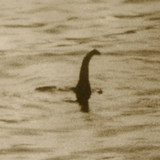 Loch Ness Monster Recordings
