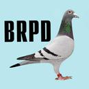 BD Racing Pigeon Database APK