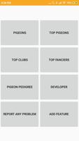 BD Racing Pigeon Database Poster