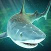 Sea fish APK