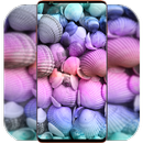 Seashell Wallpaper 4K APK