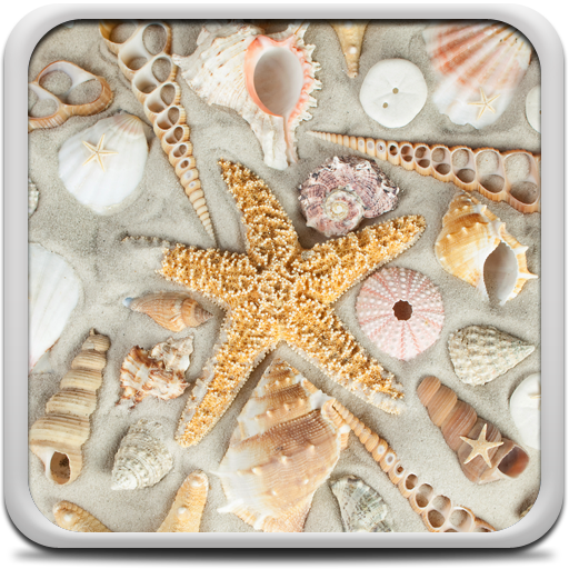 Seashells Live Wallpaper