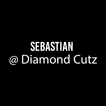 Sebastian @ Diamond Cutz icon