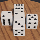 Liar Dice 3 - 9 APK