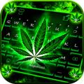 AutoCultivo Cannabis