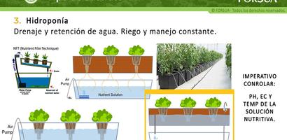 AutoCultivo Cannabis Screenshot 2