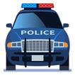 Police Car AR