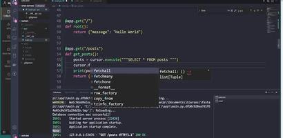 Python API Development Screenshot 1
