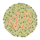 ColorBlindness SimulateCorrect