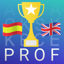 Prof. Spanish Word Hunt-APK
