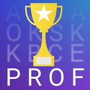 Prof. Turkish Word Hunt APK