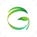 Ginjer