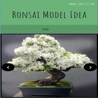 idée de modèle de bonsaï Affiche