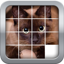 Slider Mania Animals (Puzzles) aplikacja