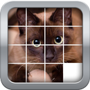 पहेली उन्माद जानवरों (Puzzles) APK