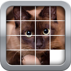 Slider Mania Animals (Puzzles) icon