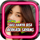 DJ Aku hanya bisa berkata sayang Offline APK