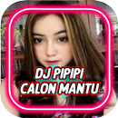 DJ pipipi calon mantu yang lagi viral APK