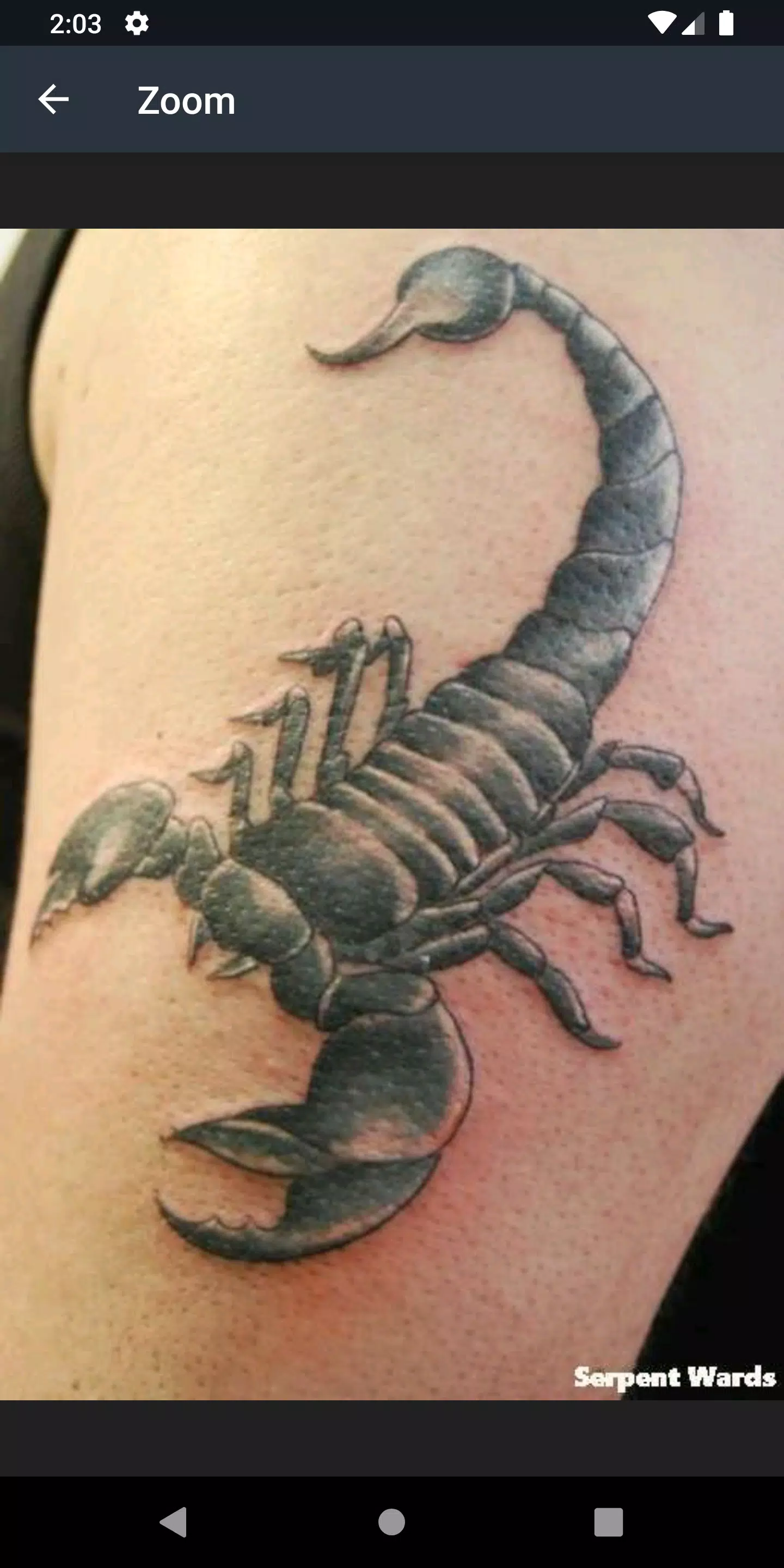 Scorpion Tattoo Designs APK للاندرويد تنزيل Scorpion Tattoo Designs APK للاندرويد تنزيل