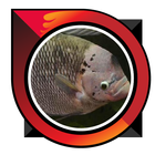 Goede Fish Farming-icoon
