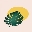 Monstera wallpaper esthetiek-APK