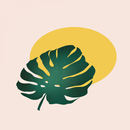 Monstera Wallpaper esthétique APK