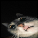 Cat -esthetisch behang-APK